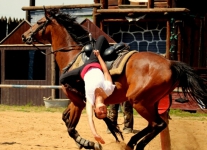 gabinka 1544