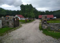 IMG_20200624_145710