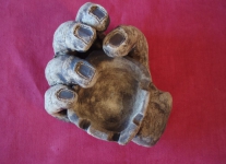 Obrázek26